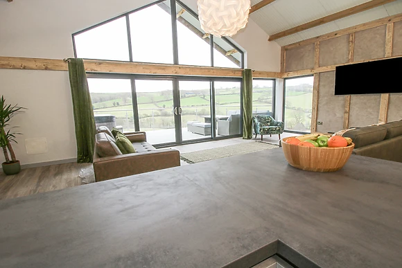 Red Kite at Barcud Coch