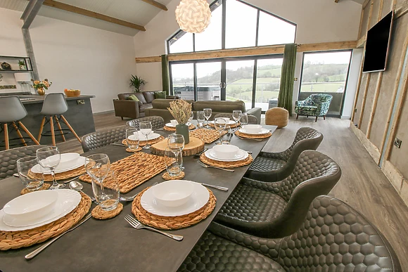 Red Kite at Barcud Coch