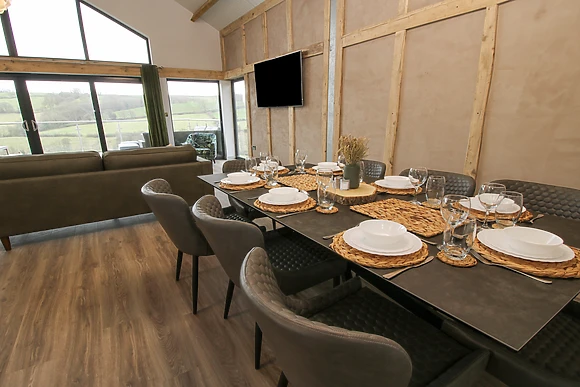 Red Kite at Barcud Coch