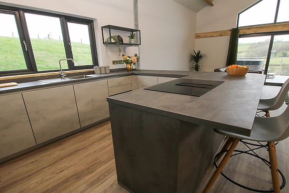 Red Kite at Barcud Coch