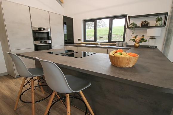 Red Kite at Barcud Coch