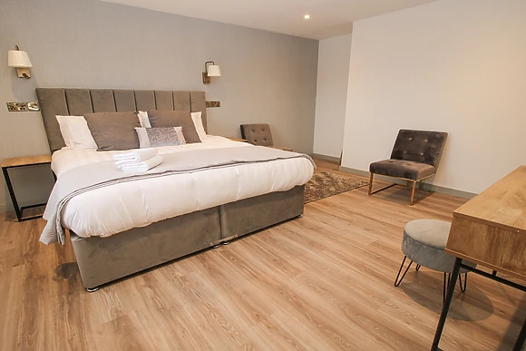 Red Kite at Barcud Coch