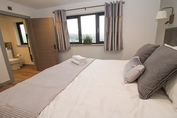 Red Kite at Barcud Coch