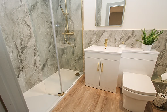 Red Kite at Barcud Coch