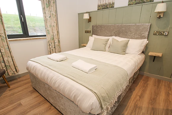 Red Kite at Barcud Coch