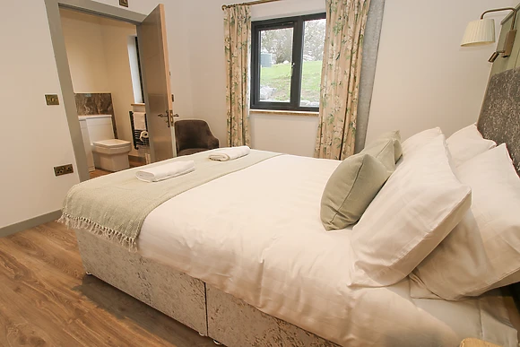 Red Kite at Barcud Coch