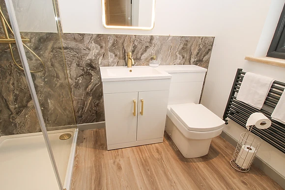 Red Kite at Barcud Coch