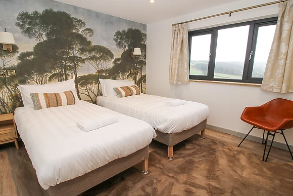 Red Kite at Barcud Coch