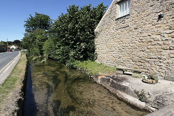 Puddleduck Cottage