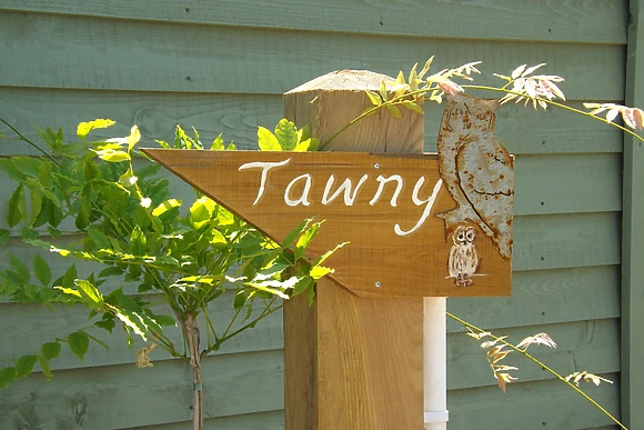 Tawny