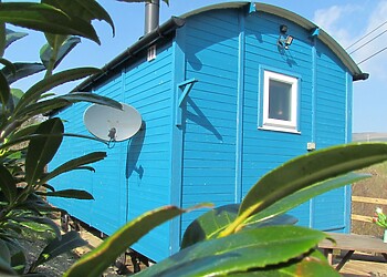 Cuckoo at Wild Valley Huts