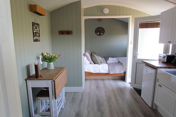 Cuckoo at Wild Valley Huts