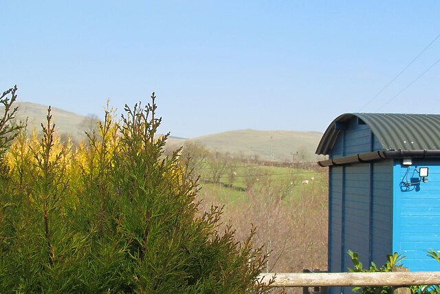 Cuckoo at Wild Valley Huts