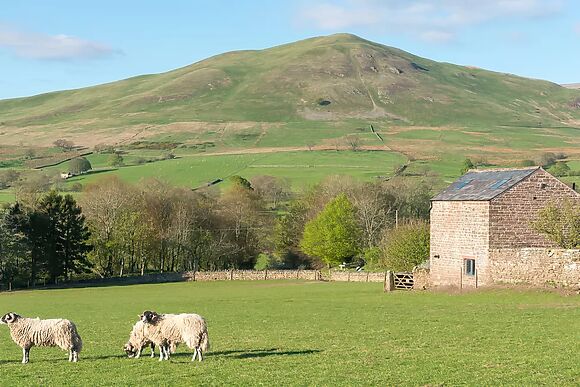 Shepherds View
