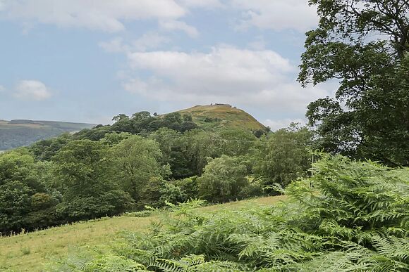 Tan Y Castell Shepherds Hut