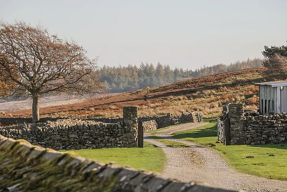 The Stables