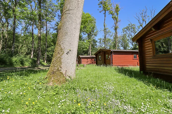 64 Acorn Lodge Kenwick Park