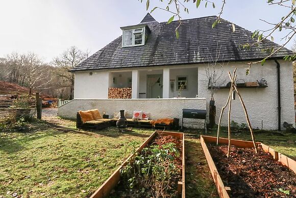 The Cottage In The Woods