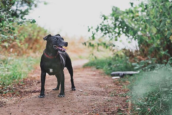 Railway Station Cottage
