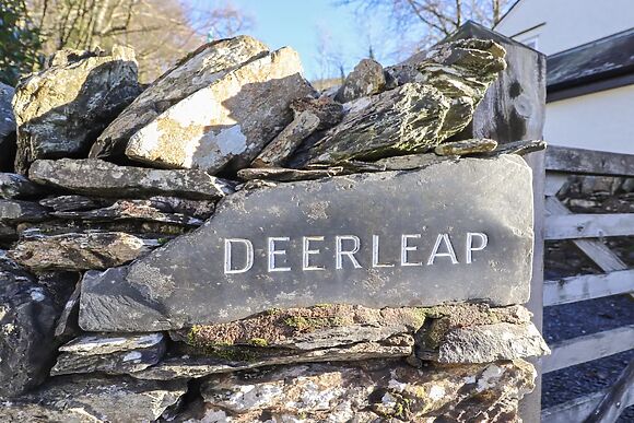Deer Leap