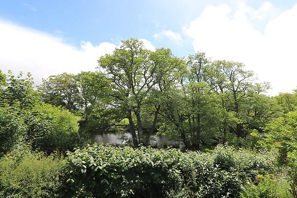 Nuthatch Cottage at Riverside Lodge