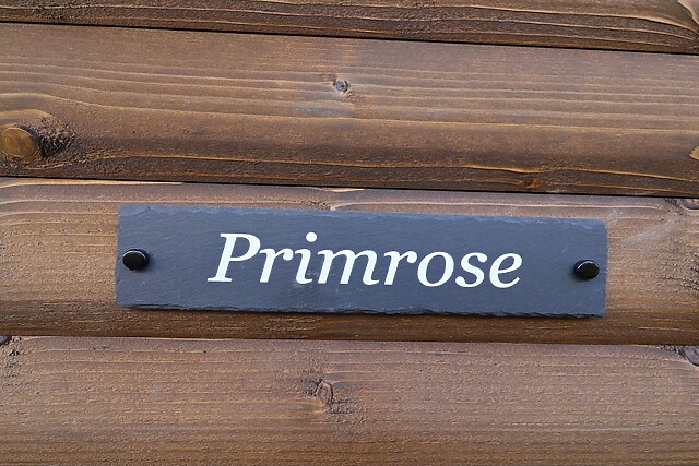 Primrose
