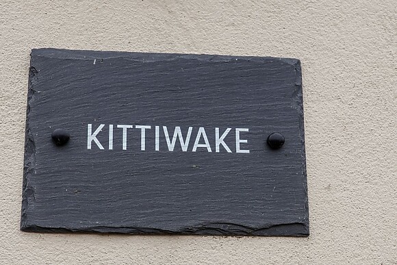Kittiwake