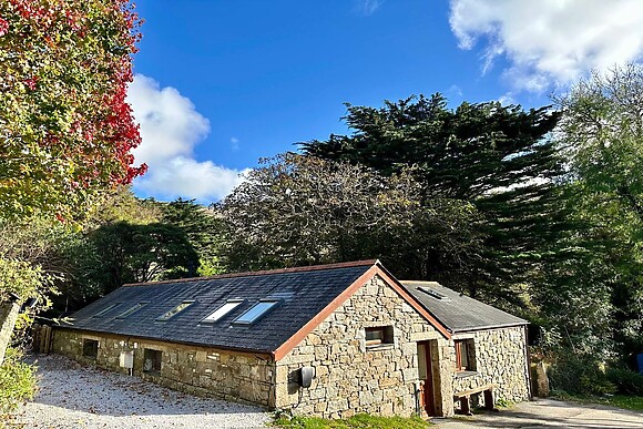 Harvey's House