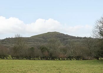 Evendine Hut @ Evendine Cottage