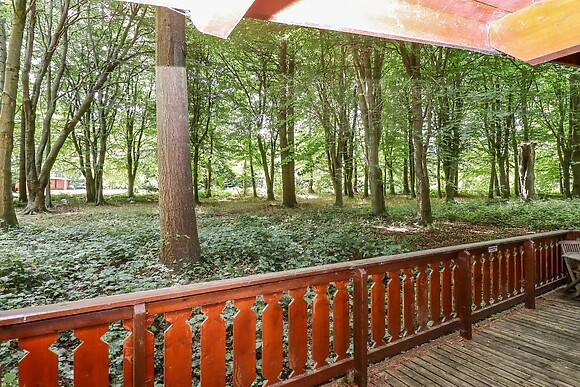 Bamboo Retreat