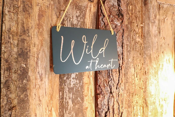 The Lazy Squire by The Water