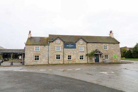 The Loft