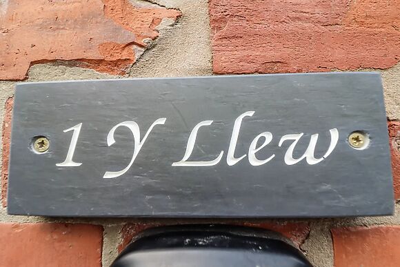 1 Y Llew
