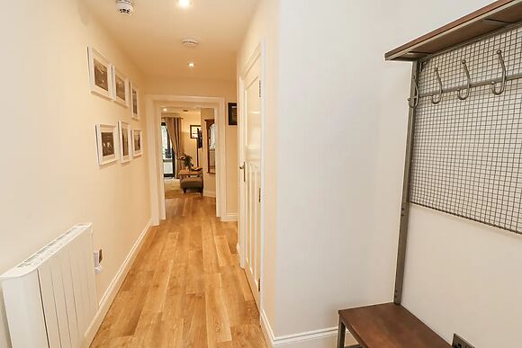 Deer Wood At Applethwaite Hall