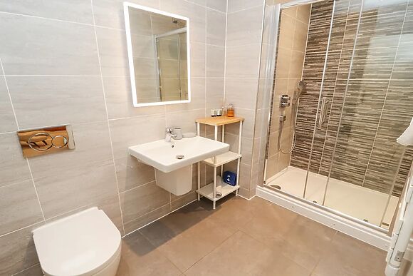 Deer Wood At Applethwaite Hall