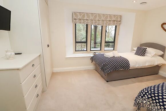 Deer Wood At Applethwaite Hall