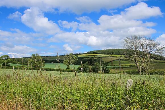 The Mytton At Mill Barn