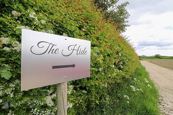 The Hide
