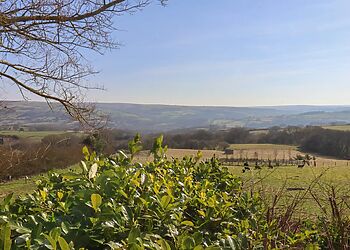 Roding Cottage