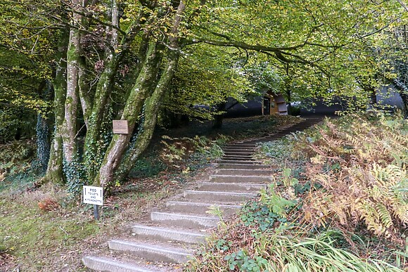 Ballybeg Pod 9