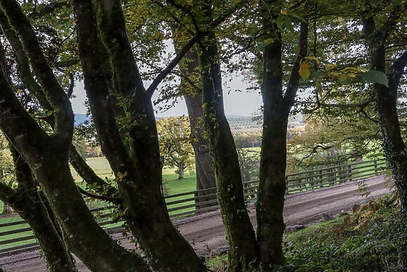 Ballybeg Pod 6