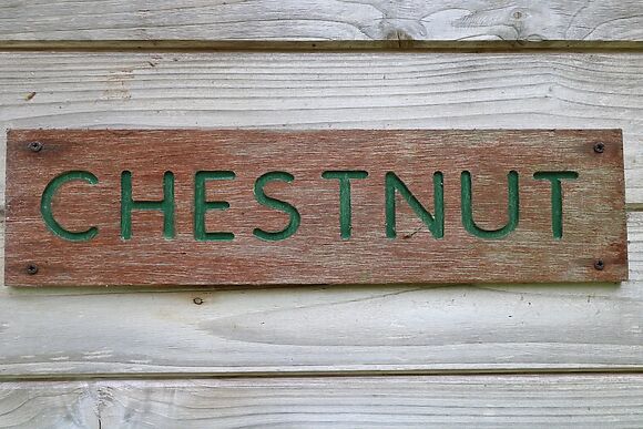 Chestnut Lodge