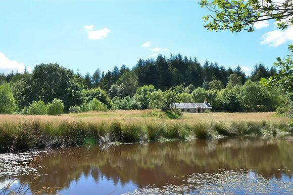 Cae'n Y Coed Barn