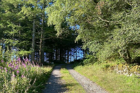 Cae'n Y Coed Barn