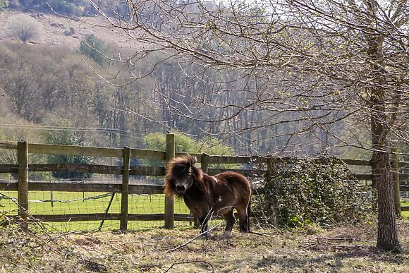 The Cottage at Rocklands Farm