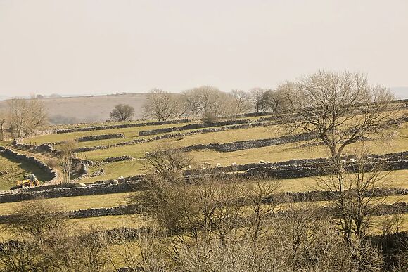 Swallow Barn