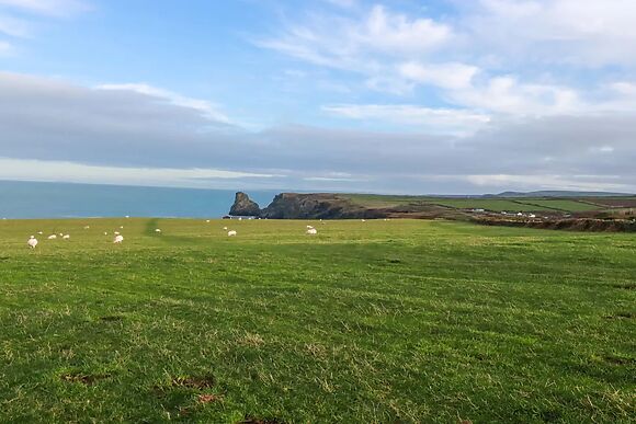Puffin Cottage