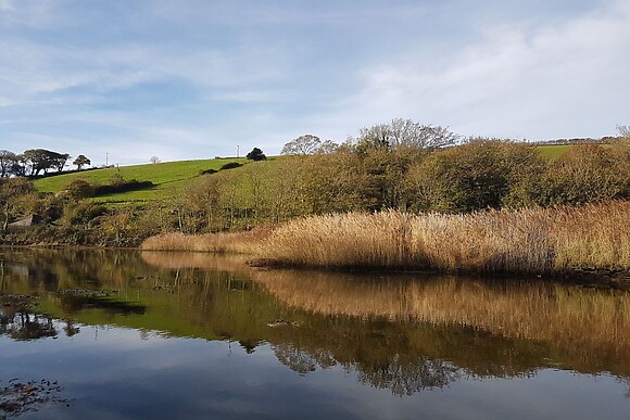Joymead