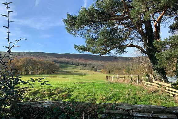 White Haywood Farmhouse & Barn