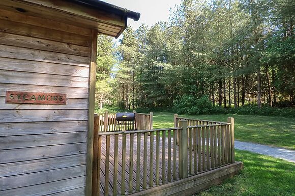 Sycamore Lodge